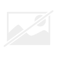 Famous songs from the musicals - the,